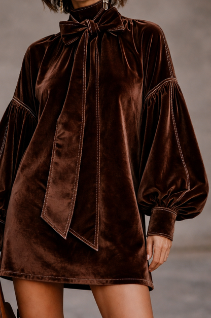 OLIVIA | Elegant Velvet Mini Dress